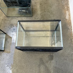 水槽の画像