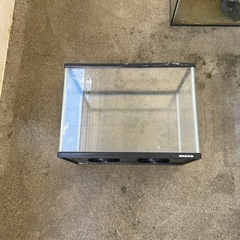 水槽の画像