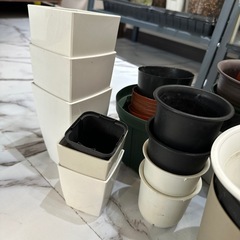 ユーズド　プラスチック鉢　25点以上　　の画像