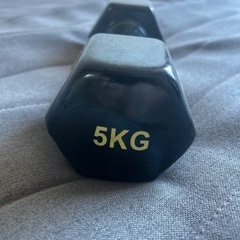 【値下げ交渉歓迎！！！！】5Kgダンベル✖️2の画像