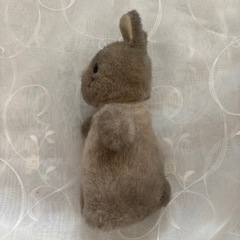 ぬいぐるみの画像