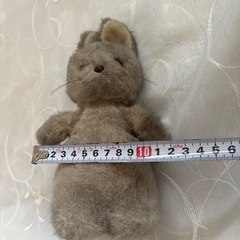 ぬいぐるみの画像