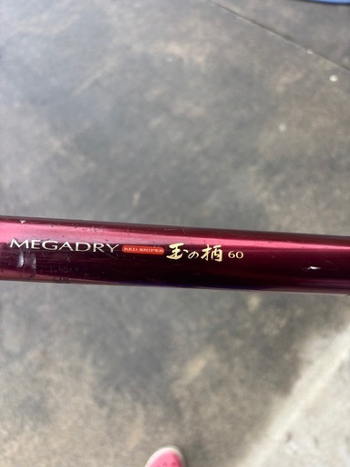 メガドライ　タマのえ柄