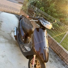 ライブディオZXAF35の画像