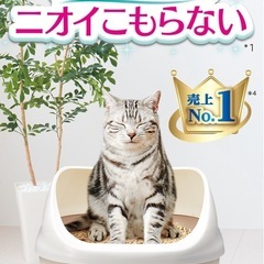 猫のシステムトイレの画像