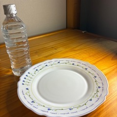 アルコパルの中皿　の画像