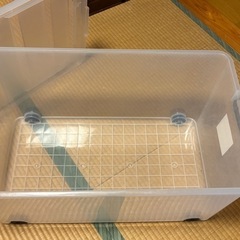 美品✴︎衣装ケースの画像