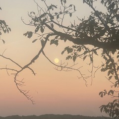 🌕2025年10月26日（日）ヨガclass開催🌾の画像