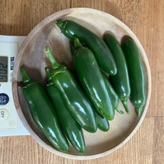 ハラペーニョ200g、ハバネロ100gの画像