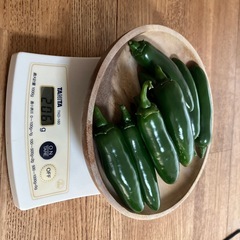 ハラペーニョ200g、ハバネロ100gの画像