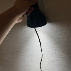 観葉植物ライト✖︎2の画像