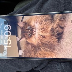 iPhone13 promax256Gの画像