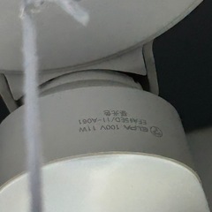 セード　電気　LED電球の画像