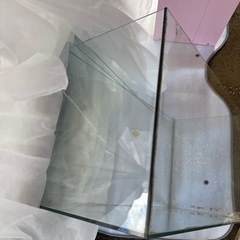 水槽の画像