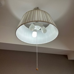 セード　電気　LED電球の画像