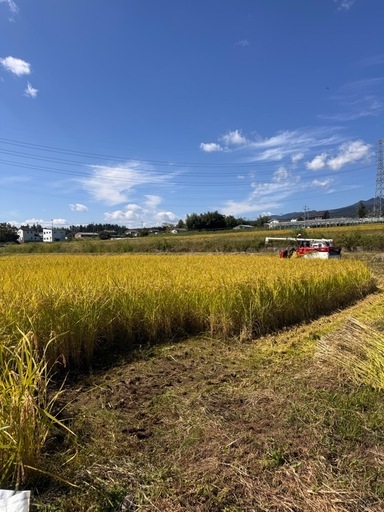 R7年度産　群馬県北部コシヒカリ玄米30キロ　新米　無農薬