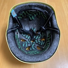 ナットケースのヘルメット
の画像