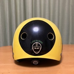 ナットケースのヘルメット
の画像