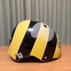 ナットケースのヘルメット
の画像