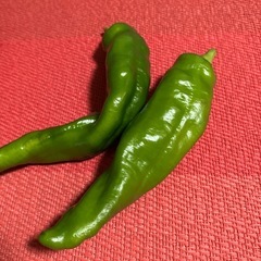 万願寺ししとうおまとめ50個の画像