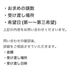 国産クワガタ幼虫　販売の画像
