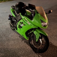 Ninja250【愛車整理】の画像