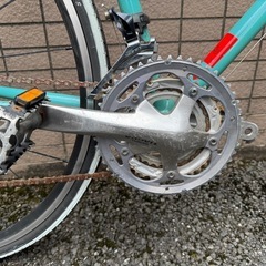 Bianchi Lupo 2008年モデル｜オーバーホール歴あり｜付属品・替えチェーン付き の画像