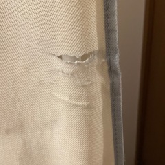 カバー付　衣服収納　ハンガーラックの画像