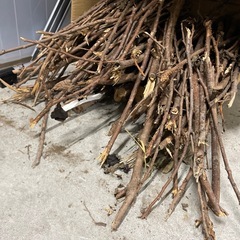 薪の画像