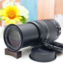 【全国送料無料】 Canon EF-S 55-250 ㎜ IS Ⅱ✨手振れ補正付きレンズ ✨ レンズケース付 キャノン キヤノン イベント 運動会 紅葉 発表会✨の画像