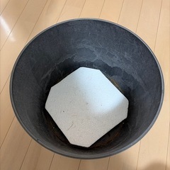 プランターの画像