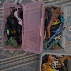 アニア　昆虫　ポケモン　恐竜　フィギュアの画像