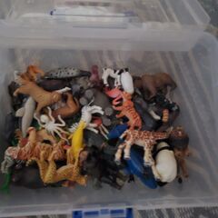 アニア　昆虫　ポケモン　恐竜　フィギュアの画像