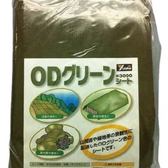ODグリーン　レジャーシート　5.4m ✖️5.4mの画像