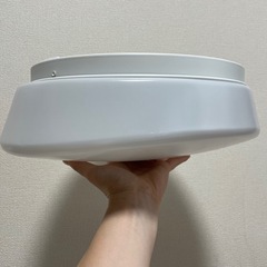 シーリングライトの画像