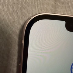 iPhone13
の画像