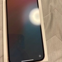 iPhone13
の画像