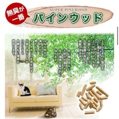 パインウッド（猫システムトイレ用ペレット）の画像