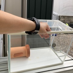 水槽の画像