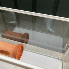 水槽の画像