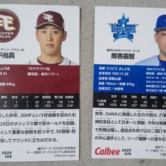 2025 プロ野球チップスの画像