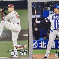2025 プロ野球チップスの画像