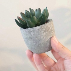 フェイクグリーン　人工観葉植物　3つ3つの画像
