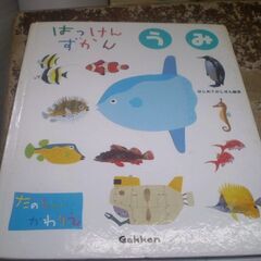 サムネイル