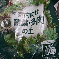 無料　観葉植物用の土　使用済みの画像