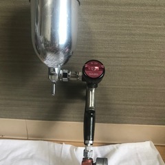 デビルビスの画像
