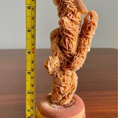 砂漠のバラ(デザートローズ)の画像