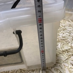 収納ケースの画像