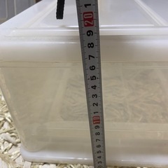 小さめ収納ケースの画像