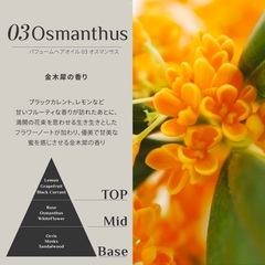 【 ラドール パフュームヘアオイル  30ml 】  ヘアオイル 洗い流さないトリートメント 金木犀の香りの画像